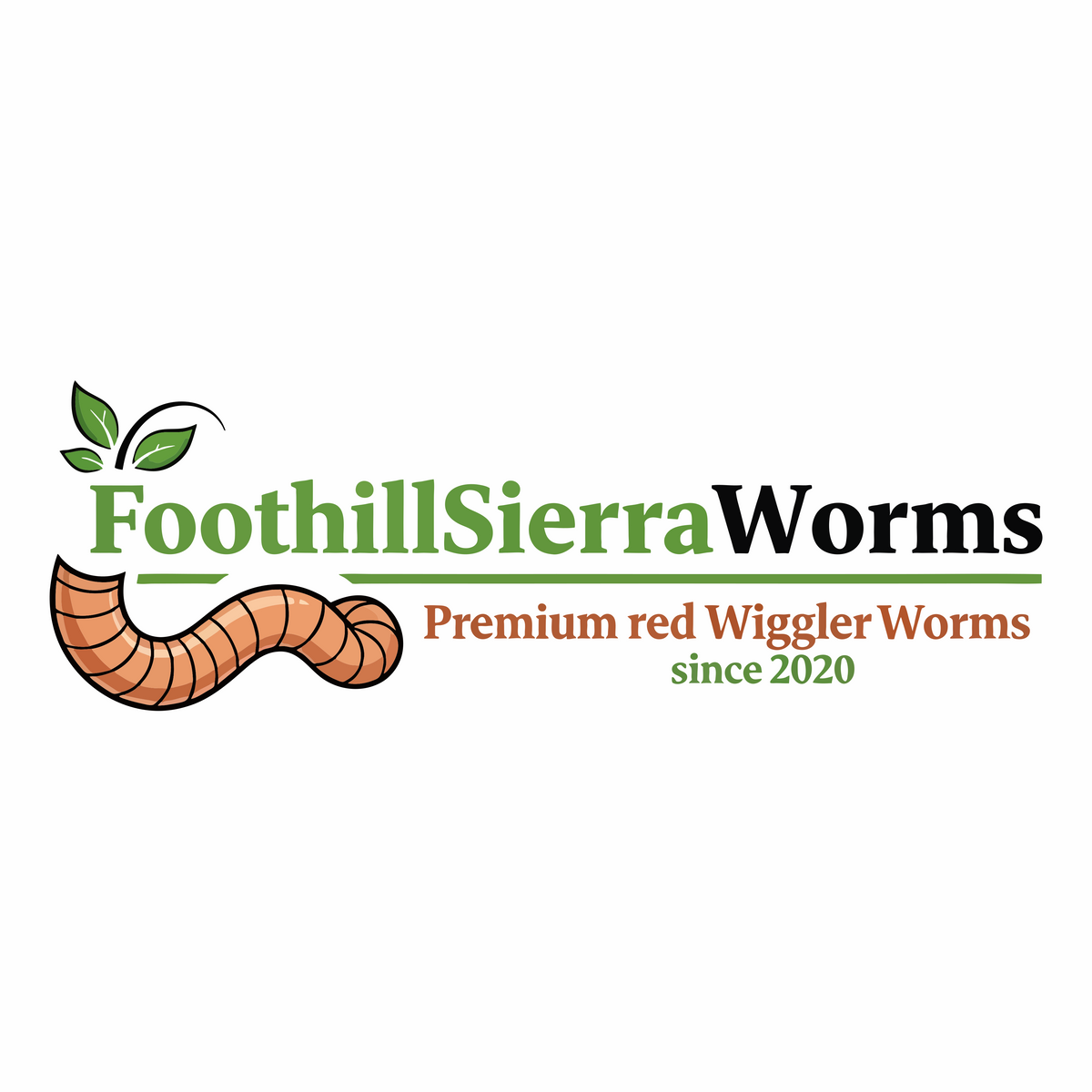 1 lb Live Red Wiggler Worms | FoothillSierraGarden